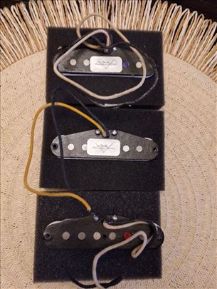 Fender Texas Special Custom Shop magneti