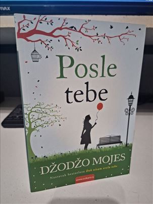 Posle tebe - Džodžo Mojes 
