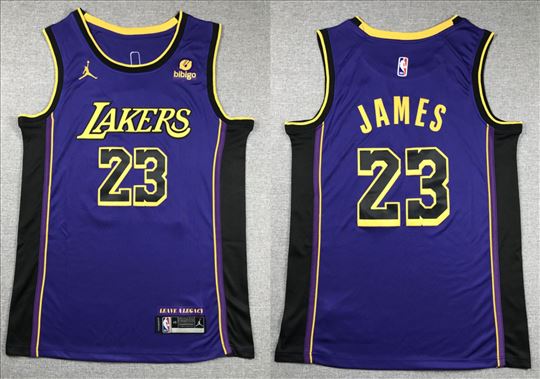 LeBron James - Los Angeles Lakers NBA dres #44