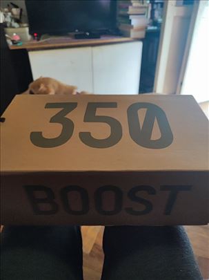 Adidas Yeezy boost 350 V2