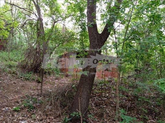 U gradjevinskom delu M. Požarevca