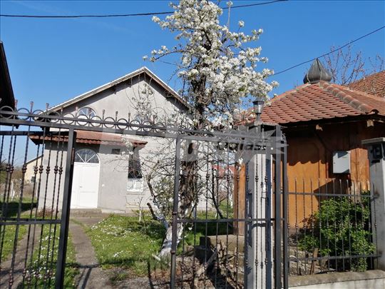 Izdavanje kuće u Borči 110 m2