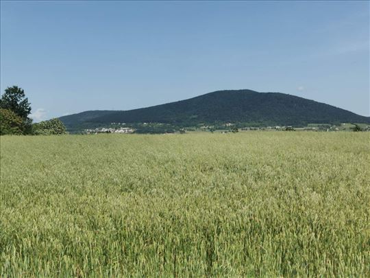 Kosmaj, Žuto brdo, uknjižen plac 