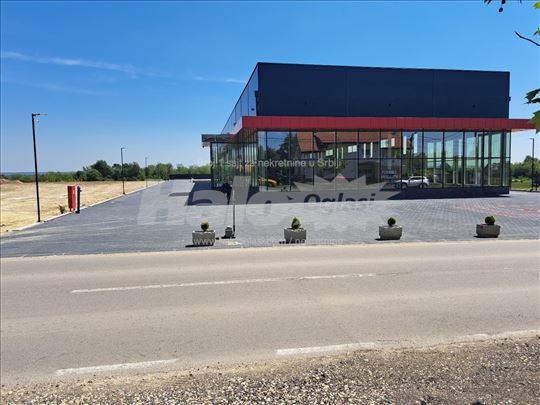 Lokal -hala 1100m2+800m2