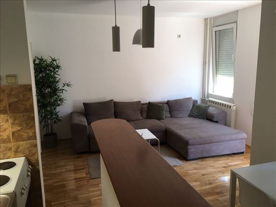Nice, comfortable, furnished apartment in Vračar 