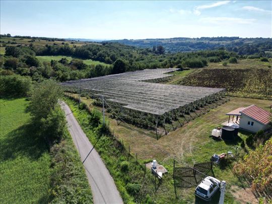 Lisović 92a 51kvm - plantaža borovnica