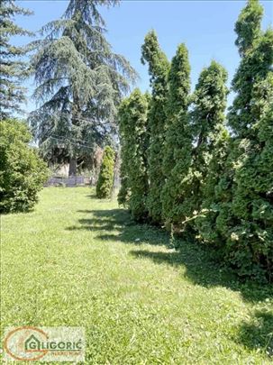 Kuća sa pet zasebnih stanova - Sremčica