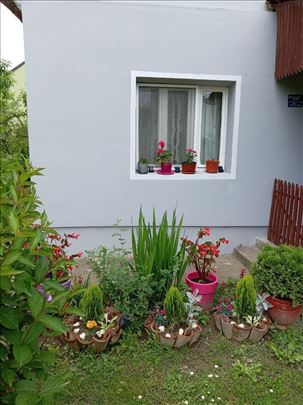 Vrnjačka Banja, kuća za odmor