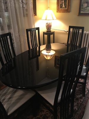 Trpezarijski oval sto i šest stolica, kao novo