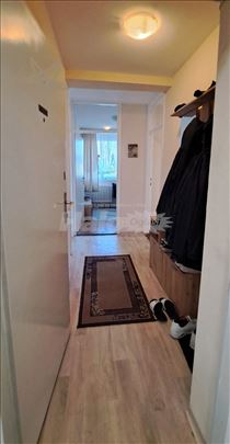 Jednoiposoban, namešten, renoviran, pet friendly