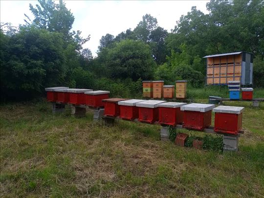 Prodajem 10 LR rojeva