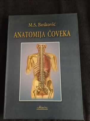 Anatomija coveka - M. S. Boskovic 