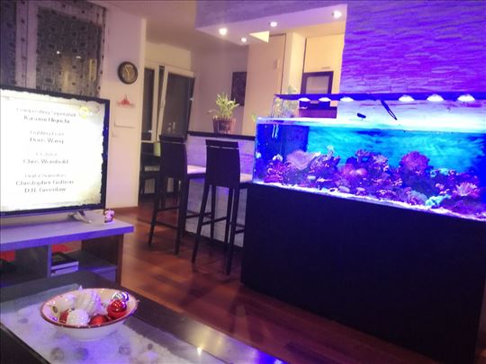 Akvarijum za ribice