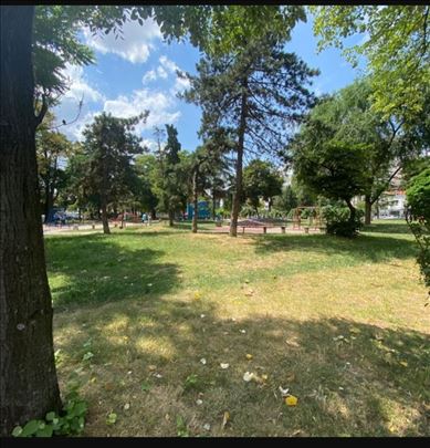Vracar Cuburski park blizina Pet friendly 