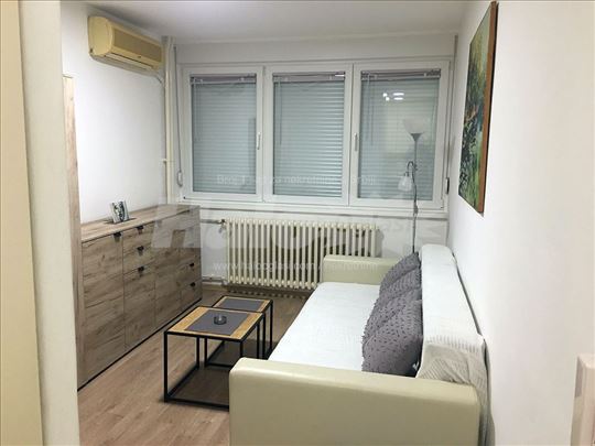 Bogoslovija, Garsonjera 19m2, izdajem