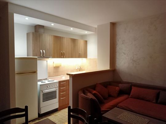 Zlatibor apartman sa dvorištem