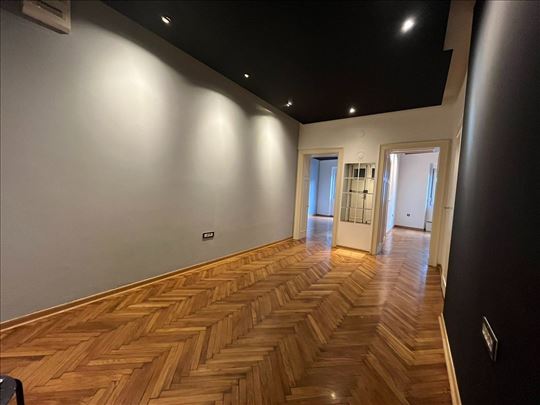 Centar, renoviran salonac, može i pp, ID 22890