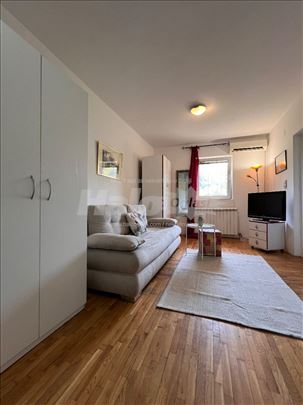 Izdavanje garsonjere Nbg/Zemun