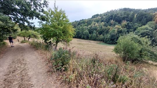 Boljevac, Rtanj - Dobro polje 1ha 3a 21kvm