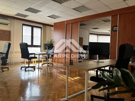 Izuzetan poslovni prostor, 400m2, Botanička bašta