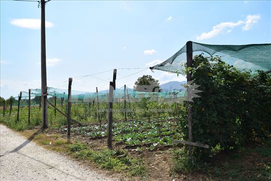 Građevinsko i poljoprivredno zemljište u Trnavi