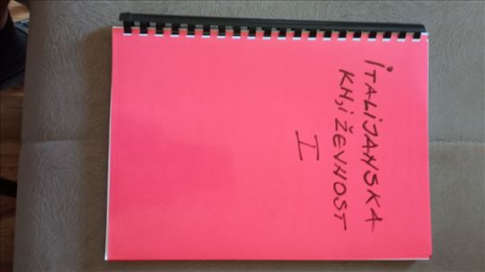 Italijanska književnost 1 skripta