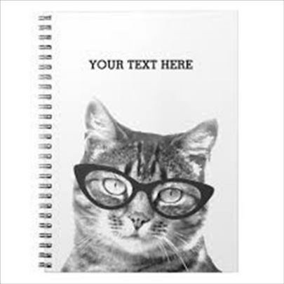 Pisanje svih vrsta tekstova na srpskom i engleskom