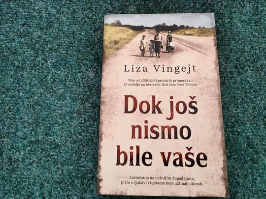 Dok još nismo bile vaše - Liza Vingejt