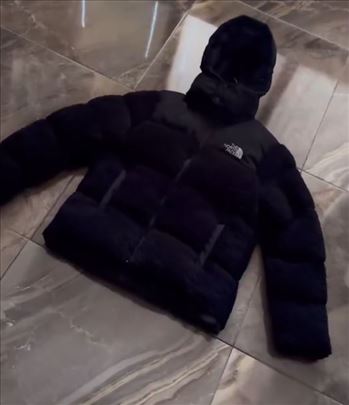 The north face 