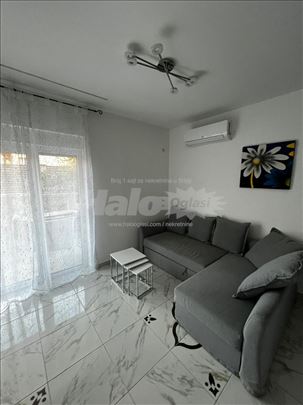 Izdajem 2 stana u M.M.Lugu 