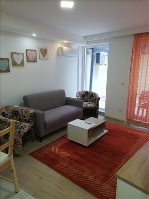 Izdavanje, Crveni krst 40m2 +T30m2 1.5