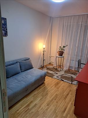  - Pet friendly - Bežanijska kosa - 58m2