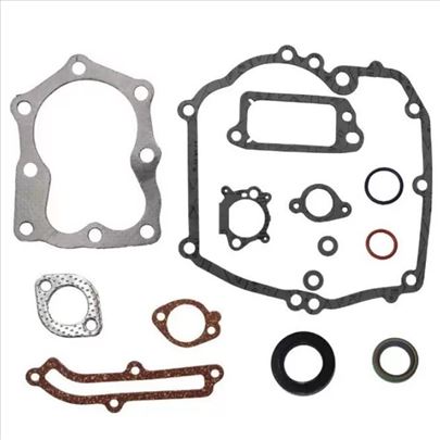 Dihtung garnitura Briggs & Stratton 5,5 KS 493263 