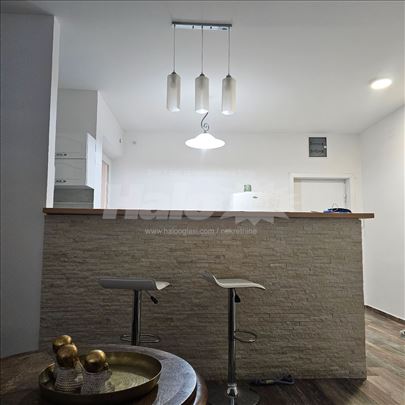 Dvosoban, renoviran stan, Vračar