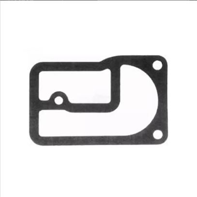 Membrana Briggs & Stratton 271025