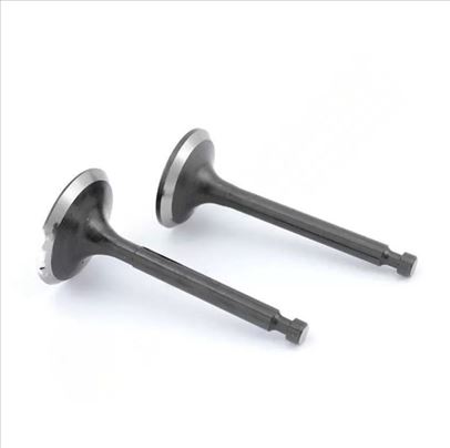 Ventili motora kosilice LC 1P70FC set