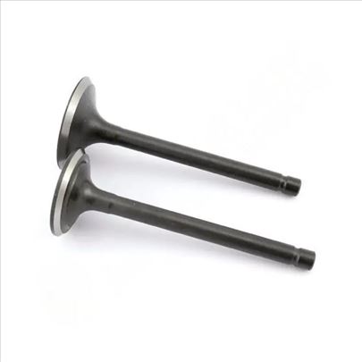 Ventili motora kosilice LC 1P85FA set