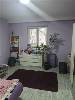 Zemun 56+T(9m2)+30m2 Novi grad