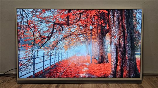 Grundig 55"led FullHD kao nov garancija