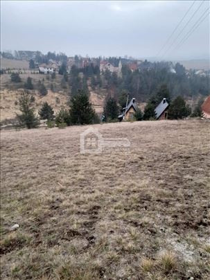 Zlatibor-Zova ID#1717