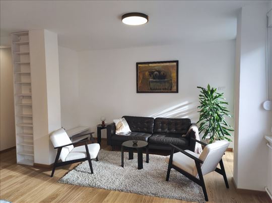 Renoviran 4.0 stan, 86m2, Pet friendly, Liman 1 