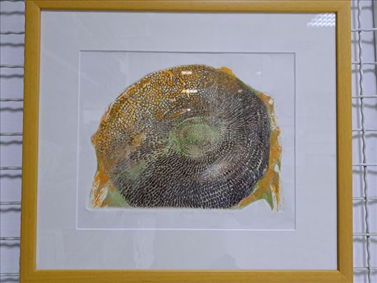 Grafika od autora Stanka Todorović