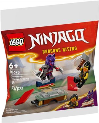 Lego 30675 Ninjago Dragons Rising set