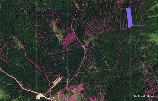U blizini Ski centra Golija, 332,82a, šuma deljivo