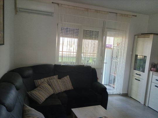 Četvoroiposoban! Odličan! Veternik! 1.Sprat