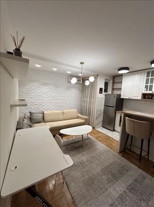 Luksuzan, Renoviran Stan u Južnom Bulevaru