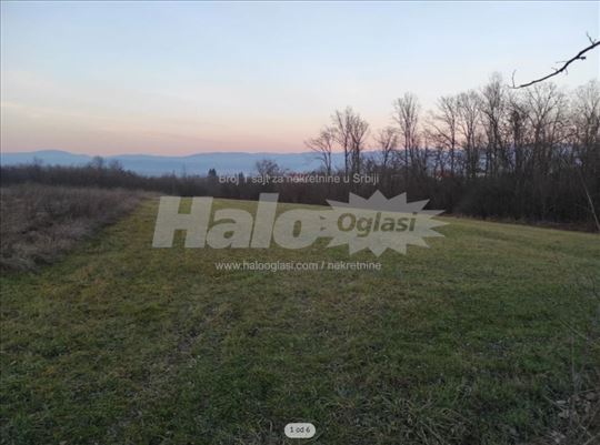 Na prodaju livada i deo šume sa bagremom