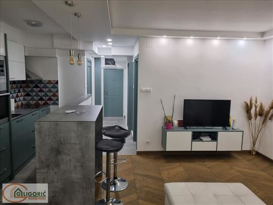 Renoviran i namešten stan - Novi Beograd