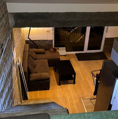 Lekino brdo, pet friendly