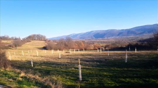 Sokobanja, Vrmdza, građevinsko zemljište, 30,5a, u